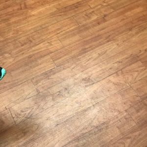 Meet your Posher, Paulina